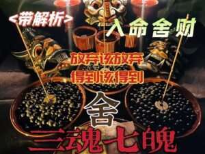 三魂七魄•入命舍财/带解析