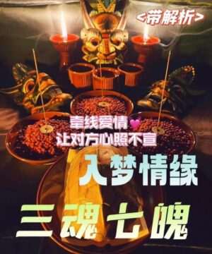 三魂七魄•入命情缘/带解析
