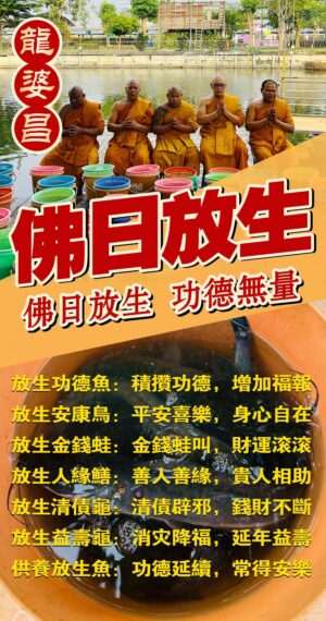 龙婆昌​庙佛日放生～功德鱼