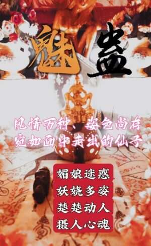 秘蛊•魅蛊