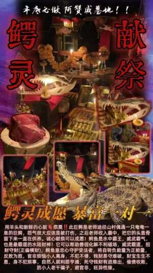 阿赞威-鳄灵成愿