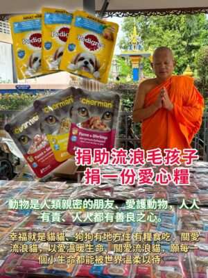 捐赠猫粮和狗粮