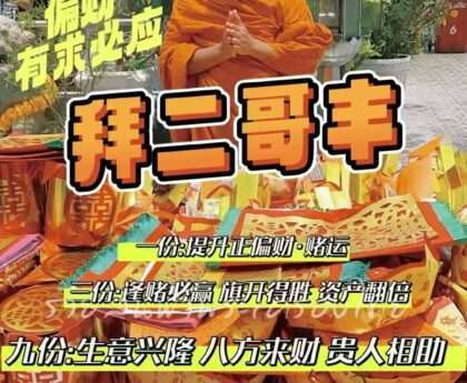 代拜二哥丰
