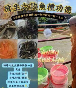天赦‮放日‬生六款魚‬功德